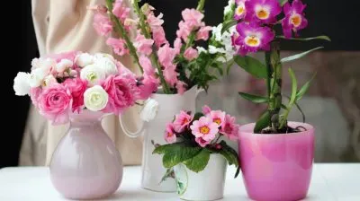 Beautiful Flowers
