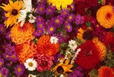 Spring Flower Medley