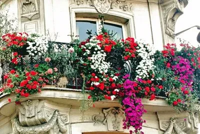 BalcÃ³n florido en ParÃ­s