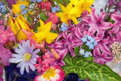 Spring Flowers from the Garden