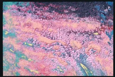 MARSU jigsaw puzzle