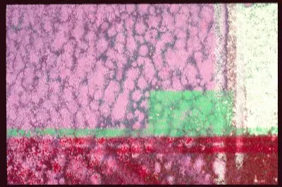 MARSU jigsaw puzzle