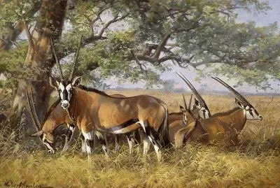 פאזל של animais