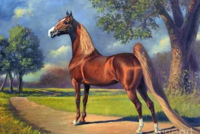 פאזל של imagem