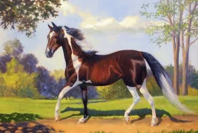 פאזל של imagem