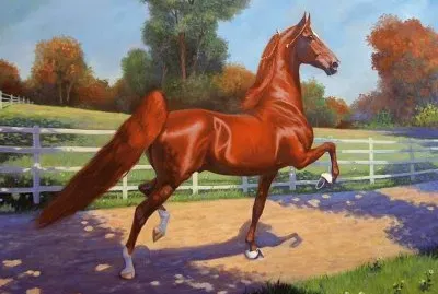 פאזל של imagem