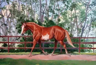 פאזל של imagem