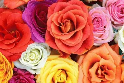 פאזל של Colorful Bouquet