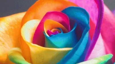 Colorful flower jigsaw puzzle