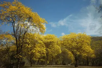 פאזל של Mangahurco - Loja - Ecuador