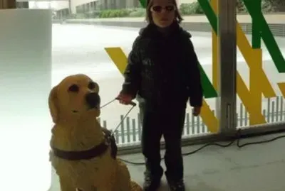 Con perro guia