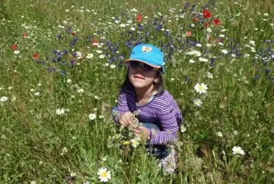Entre flores