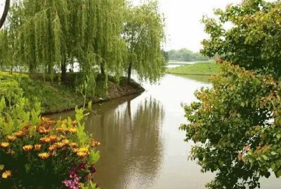 פאזל של natureza