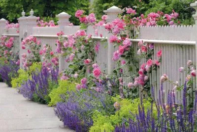 JardÃ¬