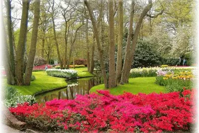 פאזל של 21 jardim