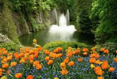 פאזל של Dreams of Spring Flowers