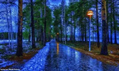 פאזל של imagem