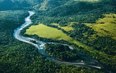 פאזל של Mata AtlÃ¢ntica - Bahia