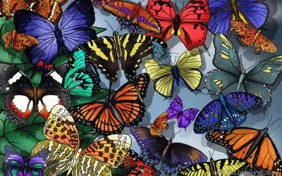 Butterflies jigsaw puzzle