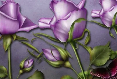 Purple Roses and Butterfly
