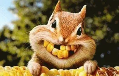 1011800_10202820645826880_1090708502_n jigsaw puzzle