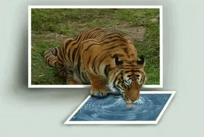 943114_384085575033749_783297975_n jigsaw puzzle