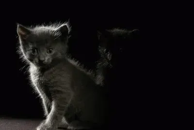 305959_379885948793120_659741973_n