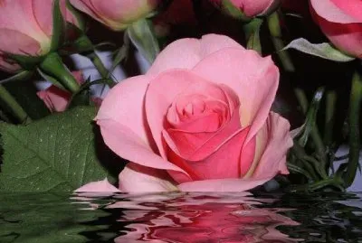 mar azul jigsaw puzzle