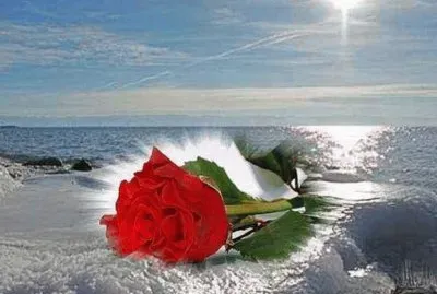 mar azul jigsaw puzzle