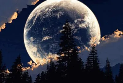 577126_365318893577084_1205170811_n