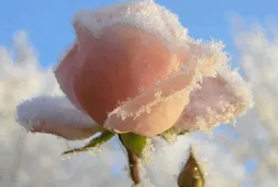 522456_364805130295127_1961527015_n