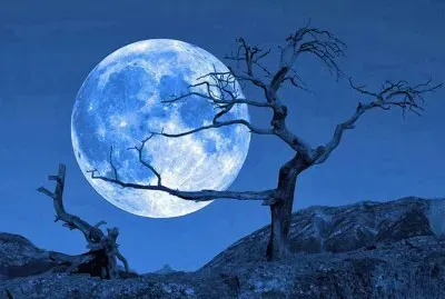 5073_359907860784854_1133715698_n