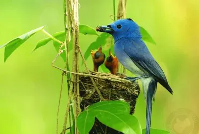 59703_346998998742407_874917488_n jigsaw puzzle