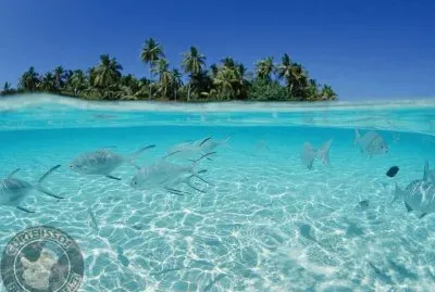 65580_346250758817231_655248395_n