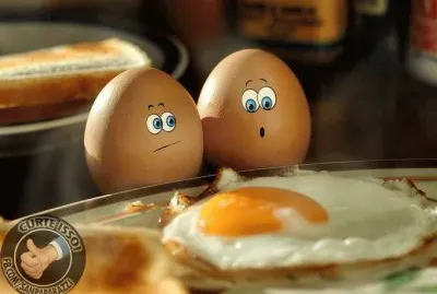 549840_341221165986857_839321634_n