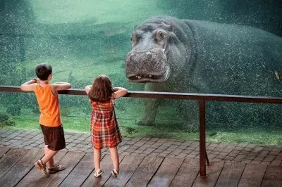 486083_338488176260156_382289095_n