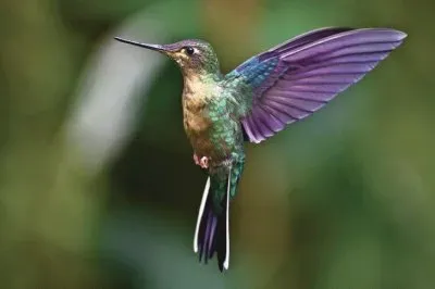 184656_337439713031669_1818808512_n jigsaw puzzle