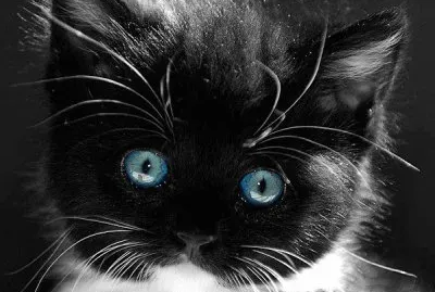 537119_334404670001840_712997437_n