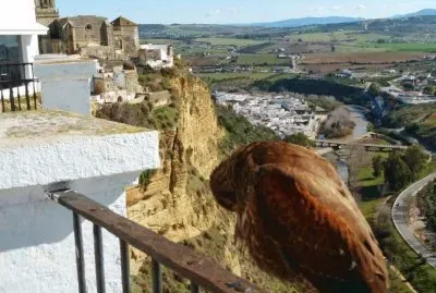 arcos