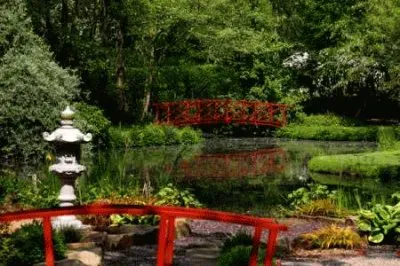 פאזל של ponte vermelha