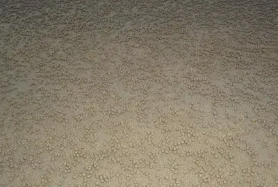 MARSU