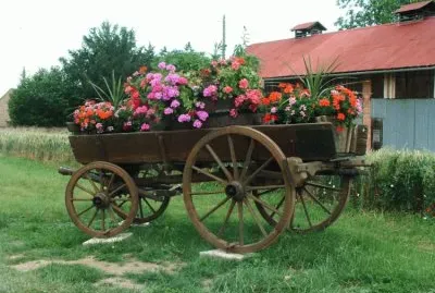 Flower Cart Alsace France