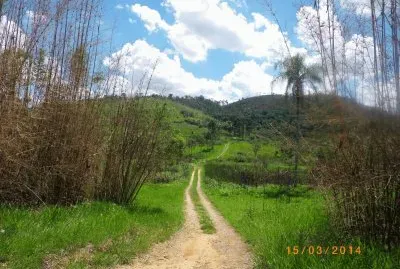 A Trilha para Caminhada jigsaw puzzle