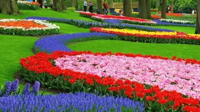 Flower Garden the Keukenhof Lisse the Netherlands