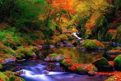 riviere jigsaw puzzle