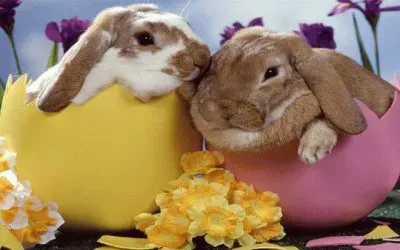 Easter Bunnys