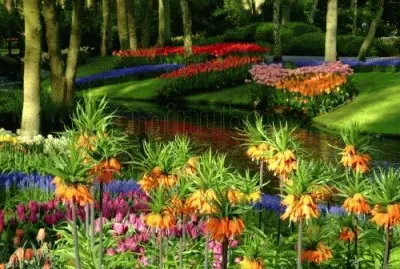 פאזל של Keukenhof