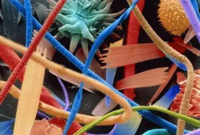 Household Dust under the Microscope 22 million times