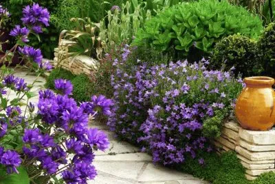 jardin