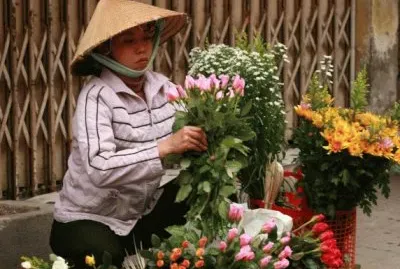 Selling Dutch Flowers in Hanoi